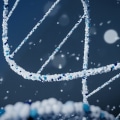 Exploring Court-Ordered Paternity Tests