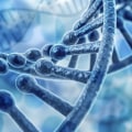Paternity Testing Services: The Basics