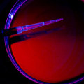 Legal Requirements for DNA Tests