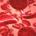 Understanding the ABO Blood Group Results