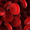Understanding ABO Blood Group Tests